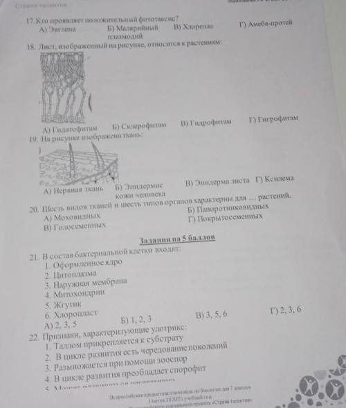 решите только правильно . ЗА ПУСТЫЕ И НЕ ПРАВИЛЬНЫЕ ОТВЕТЫ ЖАЛОБА И БАННН !​