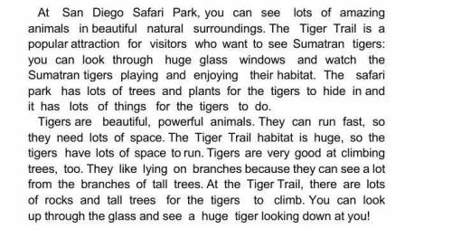 1. What is the Tiger Trail? 2.What the safari park has got?3.What can tiger do?4.Why do tigers like