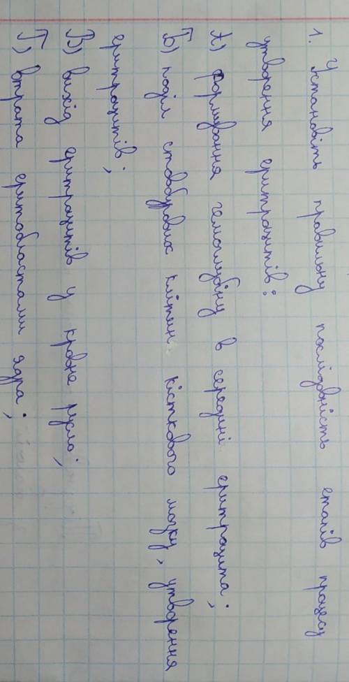 Установіть правильну послідовність етапів процесу утворення еритроцитів? ​