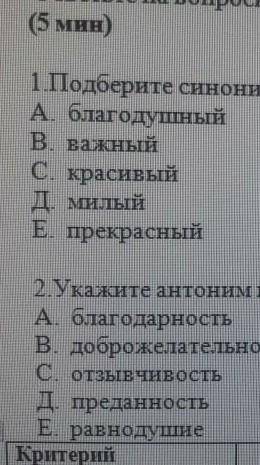 Сор по русскому языку первая синонимы к слову добрый​