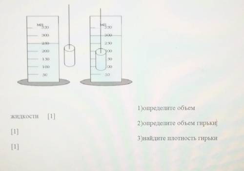 На рисунке указана гирька, помещенная в мензурку с водой. Масса гирьки 500 г.​