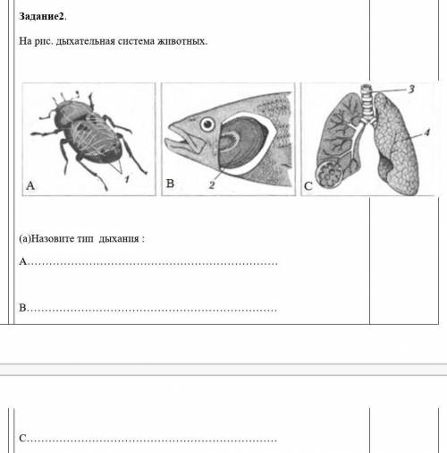 тип дыхания у жука,рыбы,человека​