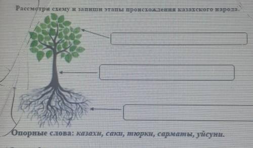 Рассмотрите схему и запишите это по происхождению казахского народа​