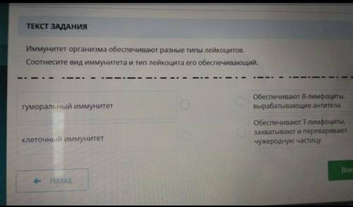 Иммунитет организма обеспечивают разные типы лейкоцитов. ,Соотнесите вид иммунитета и тип лейкоцита