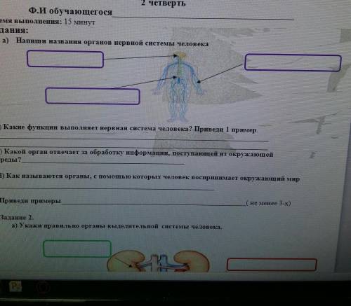 Минут Задания:а) Напиши названия органов нервной системы человекаb) Какие функции выполняет нервная
