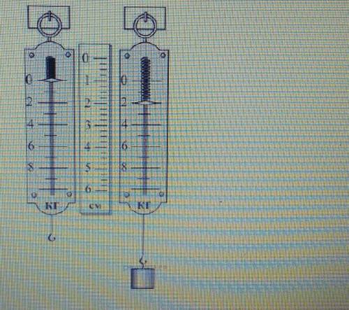 Используя данные рисунка, определите жёсткость пружины, тела массой 100г​