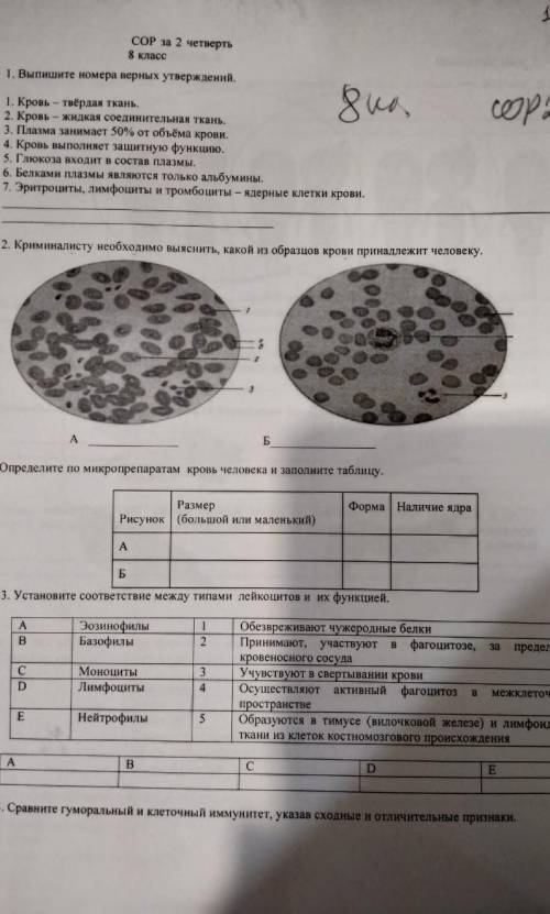 100бСОР по БиалогииТок правильно