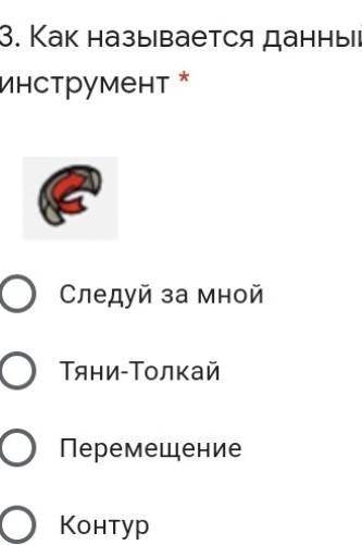 Как называется данный инструмент?​