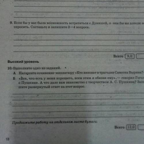 если бы у вас была возможность встретиться с Дуняшей о чём бы вы хотели её спросить.Составьте и запи