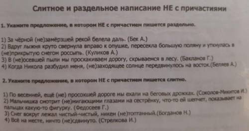 надо возле каждого предложения объяснить слитно или раздельно