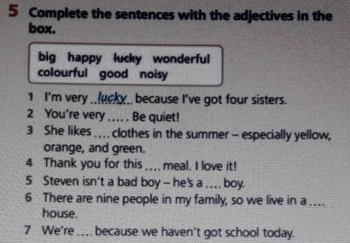 5 Complete the sentences with the adjectives in the bo.big happy lucky wonderfulcolourful good noisy