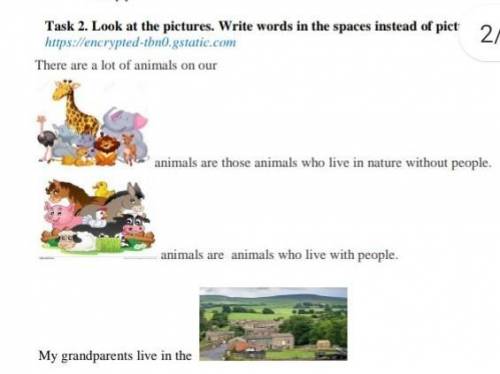 Task 2. Look at the pictures. Write words in the spaces instead of pictures. There are a lot of anim