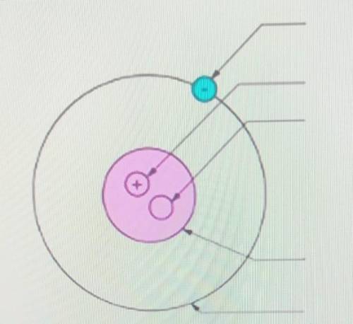 3.Напишите обозначения крисунку, используя предложенные термины: ядро, электроны, орбита электрона,