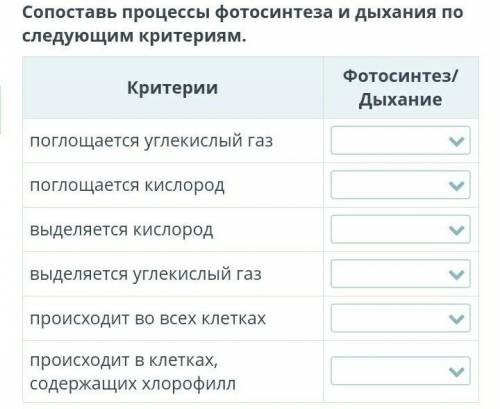 Сопоставь процессы фотосинтеза и дыхания по слндующим критериям. ​