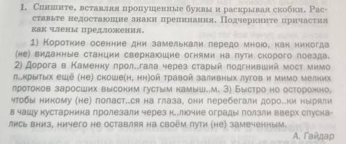 1. Спишите, вставляя пропущенные буквы и раскрывая скобки. Рас- ставьте недостающие знаки препинания