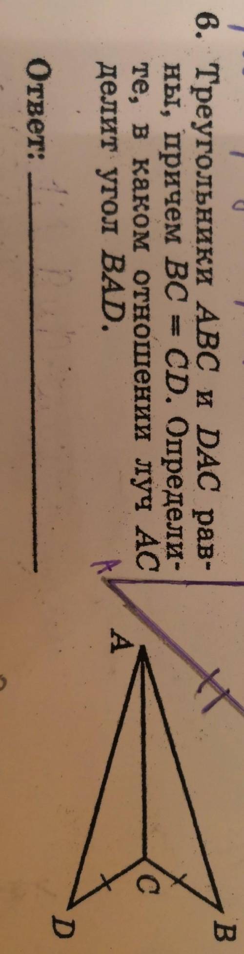 6.Треугольники ABC и DAC рав- ны, причем BC = CD. Определи-те, в каком отношении луч ACделит угол BA