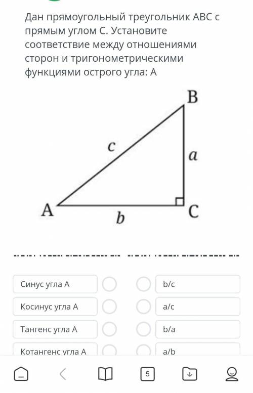 Дан прямоугольный треугольник abc с прямым углом c установите соответствие между отношениями сторон