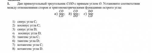 Дан прямоугольный треугольник СOD с прямым углом О. Установите соответствия между отношениями сторон