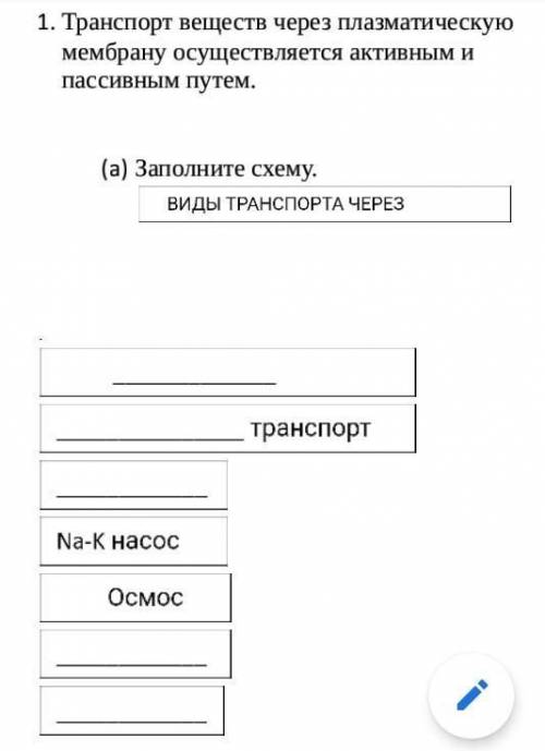 транспорт веществ через плазматическую мембрану осуществляется активным и пассивным путем заполните