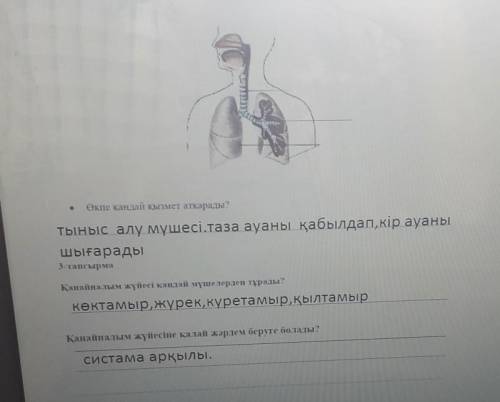 Екінші жауап.біріншісін вопростар дегеннең іздендер​