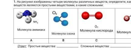 На рисунке изображены четыре молекулы различных веществ, определите, какие из этих веществ являются