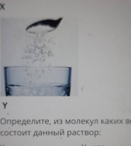 6. На рисунках показан процесс растворения соли В водеXYОпределите, из молекул каких веществсостоит