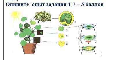 Ход работы: Опишите опыт задания 1-7 –