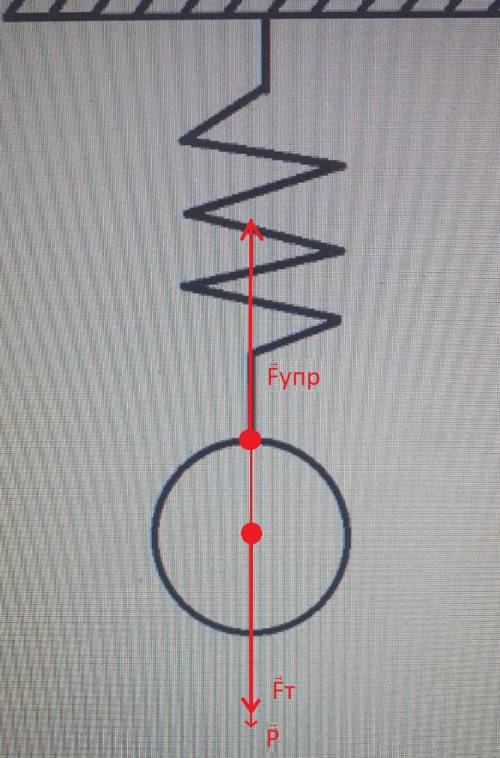 По заданному рисунку изобразите силы, действующие на тело​