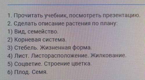 Биология. Разбор Зверобоя Распростертого