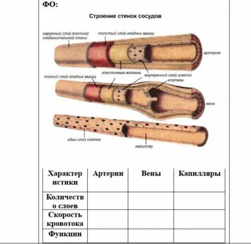 Очень нужно. ​Заполните таблицу ниже очень надо Кто нибудь мне?