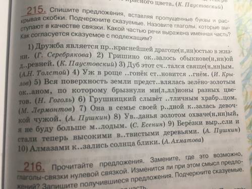 Спишите предложения, вставляя пропущенные буквы и раскрывая скобки. Подчеркните сказуемые. Назовите