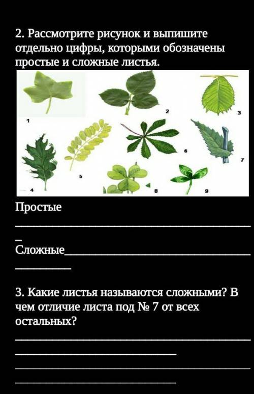 Рассмотрите рисунок и выпишите отдельно цифры, которыми обозначены простые и сложные листья.​