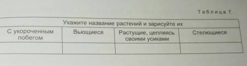 на последние 2 дайте ответ