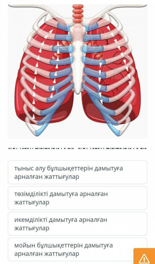 Тыныс алу бұлшықеттерін дамытуға арналған жаттығулар төзімділікті дамытуға арналған жаттығуларикемді