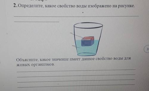 определите какое свойство воды изображено на рисунке​