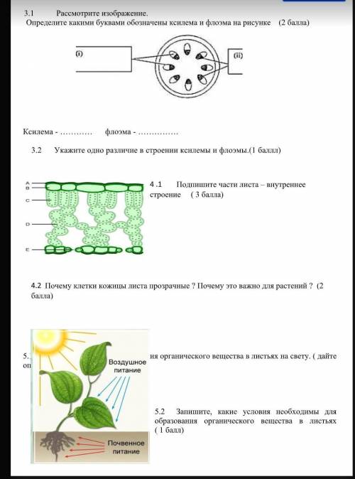 те суммарное оценивание за раздел​