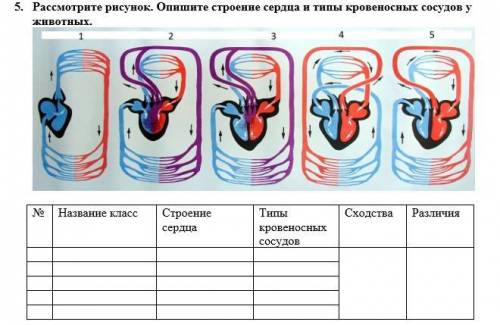 Определите и опишите состав крови, заполнив таблицу 2. Соотнесите жидкие среды в организме в соответ