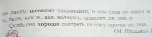 Выделенных словах укажите твёрдые и мягкие согласные звуки. Живая ёлкаСверху снег и снег, но от луче