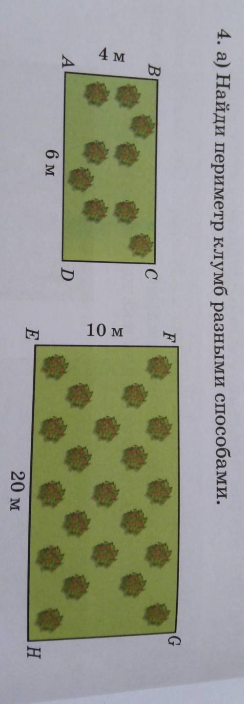 4. а) Найди периметр клумб разными FВ B.С4 м10 мAD6 мHE20 м​