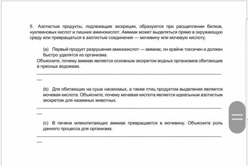 5. Азотистые продукты, подлежащие экскреции, образуются при расщеплении белков, нуклеиновых кислот и