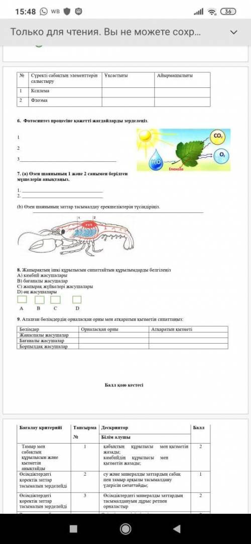 7-класс 2 токсан ☣ биология дам 100.