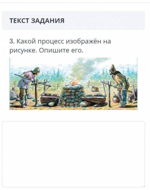 3. Какой процесс изображён рисунке. Опишите его. на сор идёт ​