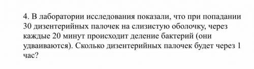 В лаборатории исследования показали, что при попадании 30 дизентерийных палочек на слизистую оболочк