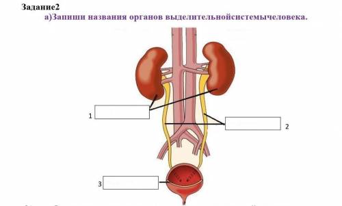 Бла задрали все не могут ​