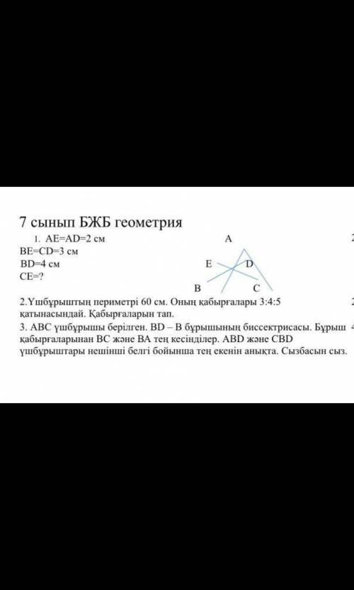 Можно ответы на все вопросы БЖБ из геометри (до завтра