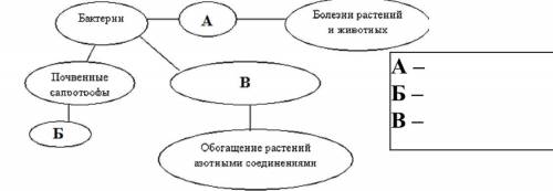 Эукариотические и прокариотические клетки. Заполните таблицу.