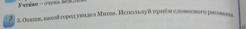 5. Опиши, какой город увидел Миша. Используй приём словесного рисования.​