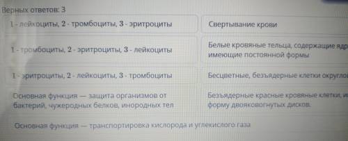 у меня СОР (a)Соотнесите клетки крови, указанные на рисунке под №1-№3 с их названиями(б)Опишите стро