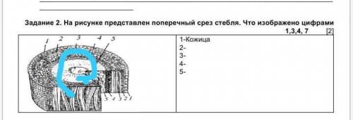 7 я обвел если что 1- 3- 4- 7-