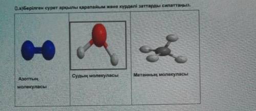 Туралы сипаттама, помагите​